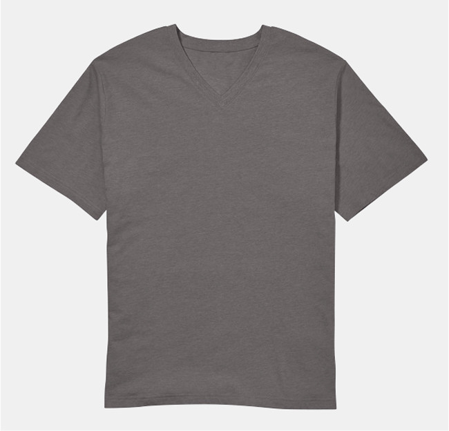 Fashion Shirts V-Neck Shirts True Religion V-Neck Shirt light grey printed lettering simple style 