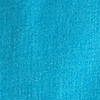 BLUEBIRD