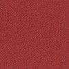red dhalia