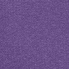 patrician purple