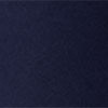 cruise navy