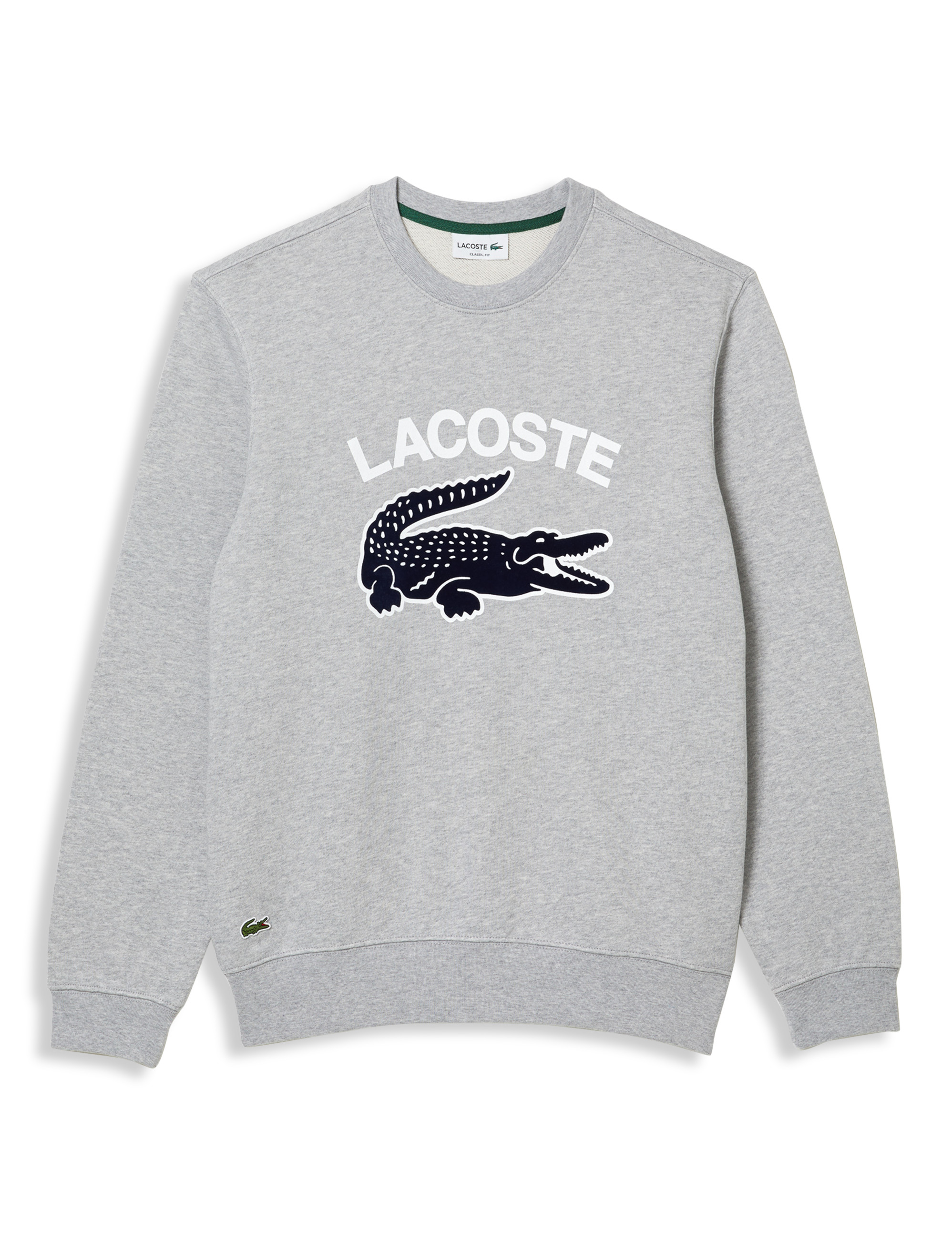 Lacoste dxl new arrivals