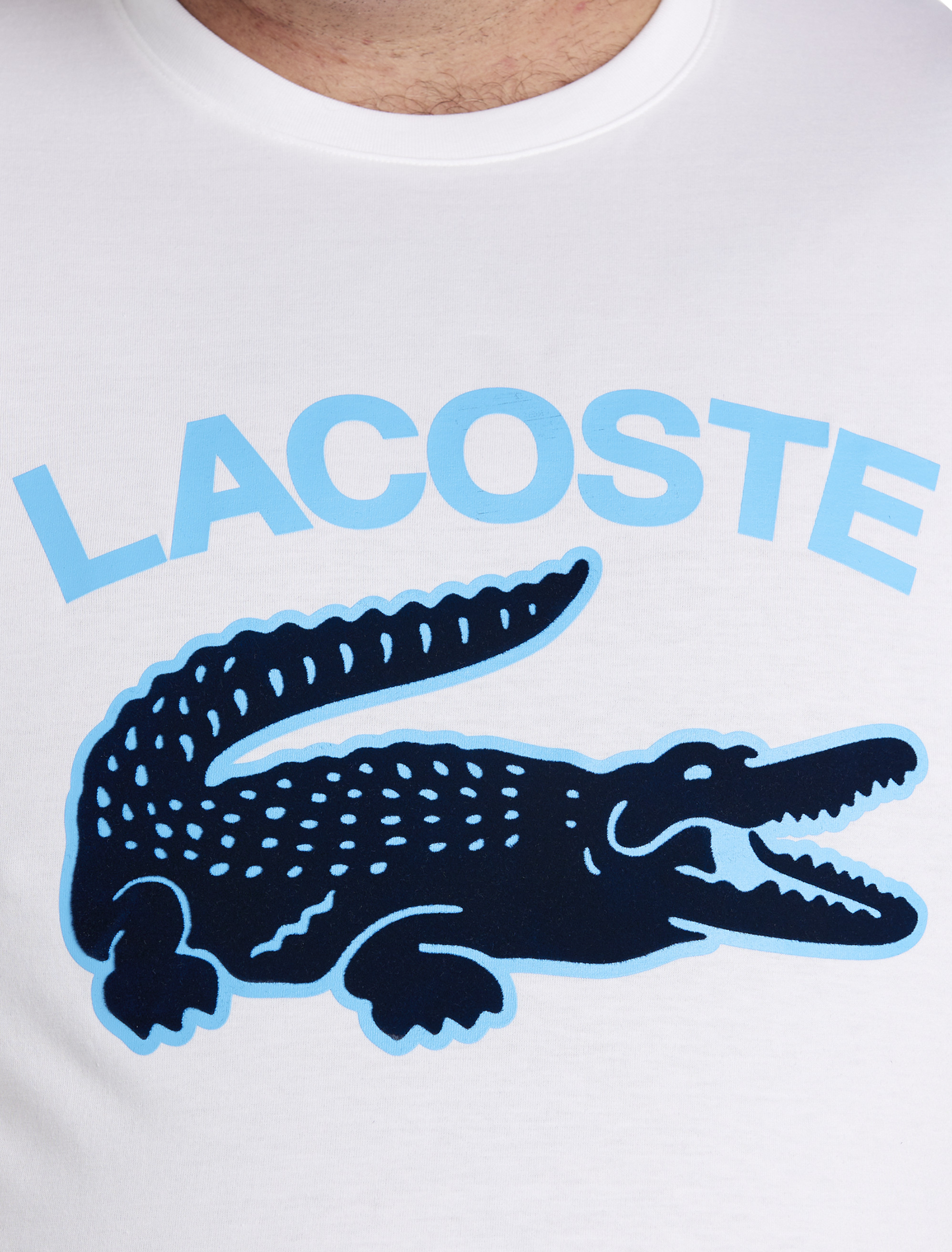 Lacoste dxl shop