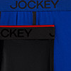 black/bluejay