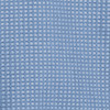 dutch blue