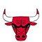 bulls pippen 33