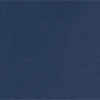 collegiate navy