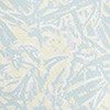 LEMON WASH