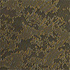 olive strata