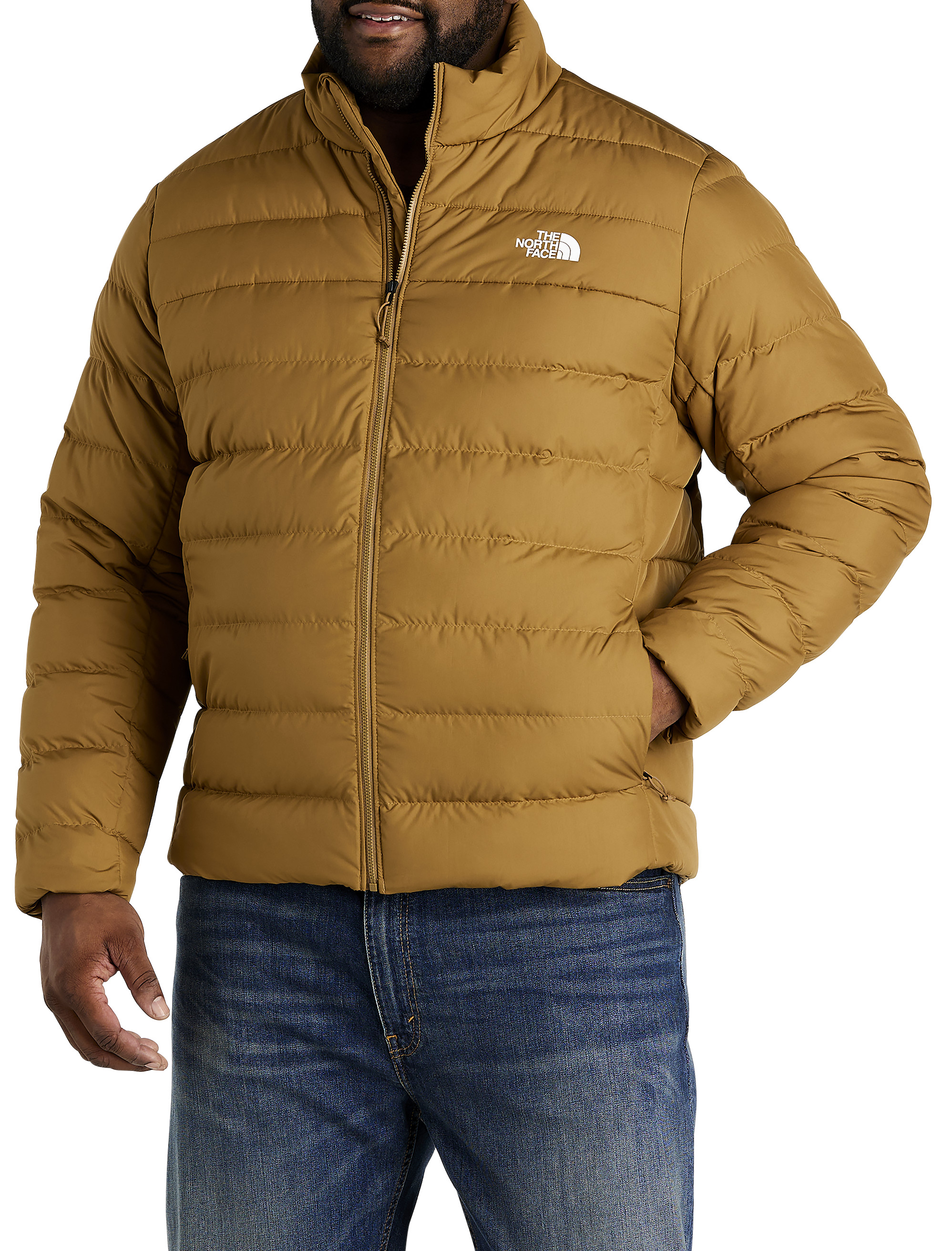 north face big and tall mens jackets