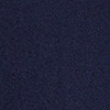 cruise navy