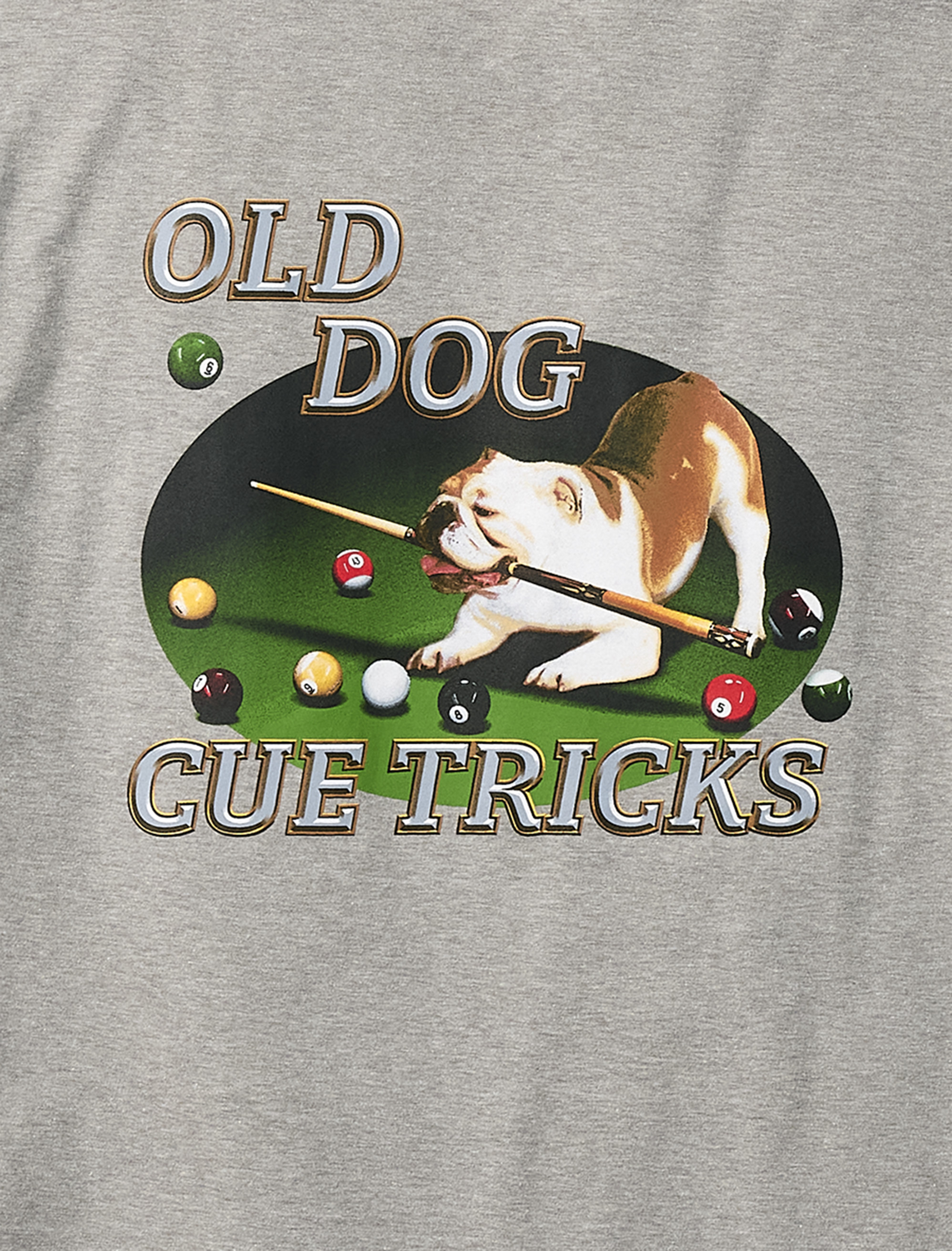 Old Dog Cue Tricks Graphic Tee