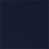 collegiate navy
