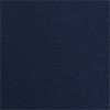 collegiate navy