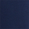 collegiate navy
