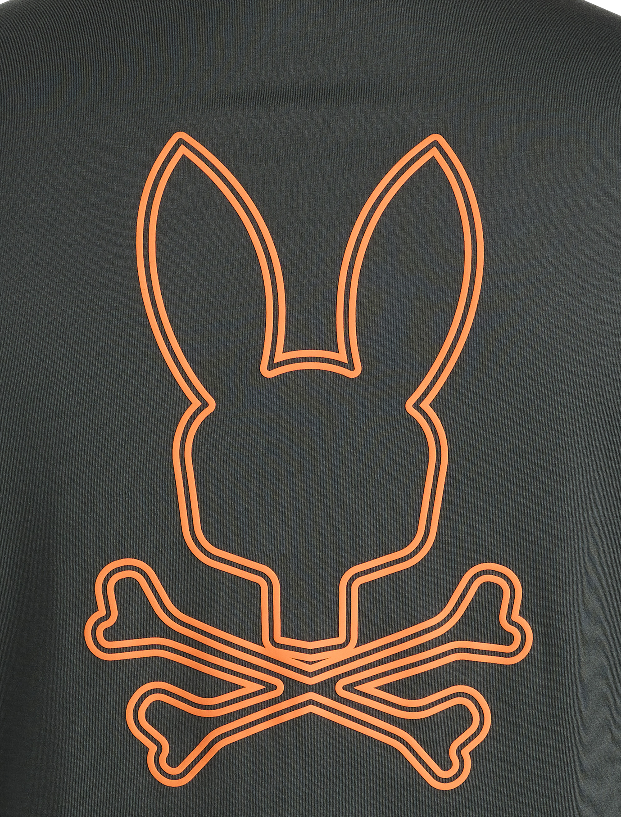 Big + Tall | Psycho Bunny Richardson Long-Sleeve Graphic T-Shirt | DXL