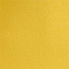 slicker yellow/purple