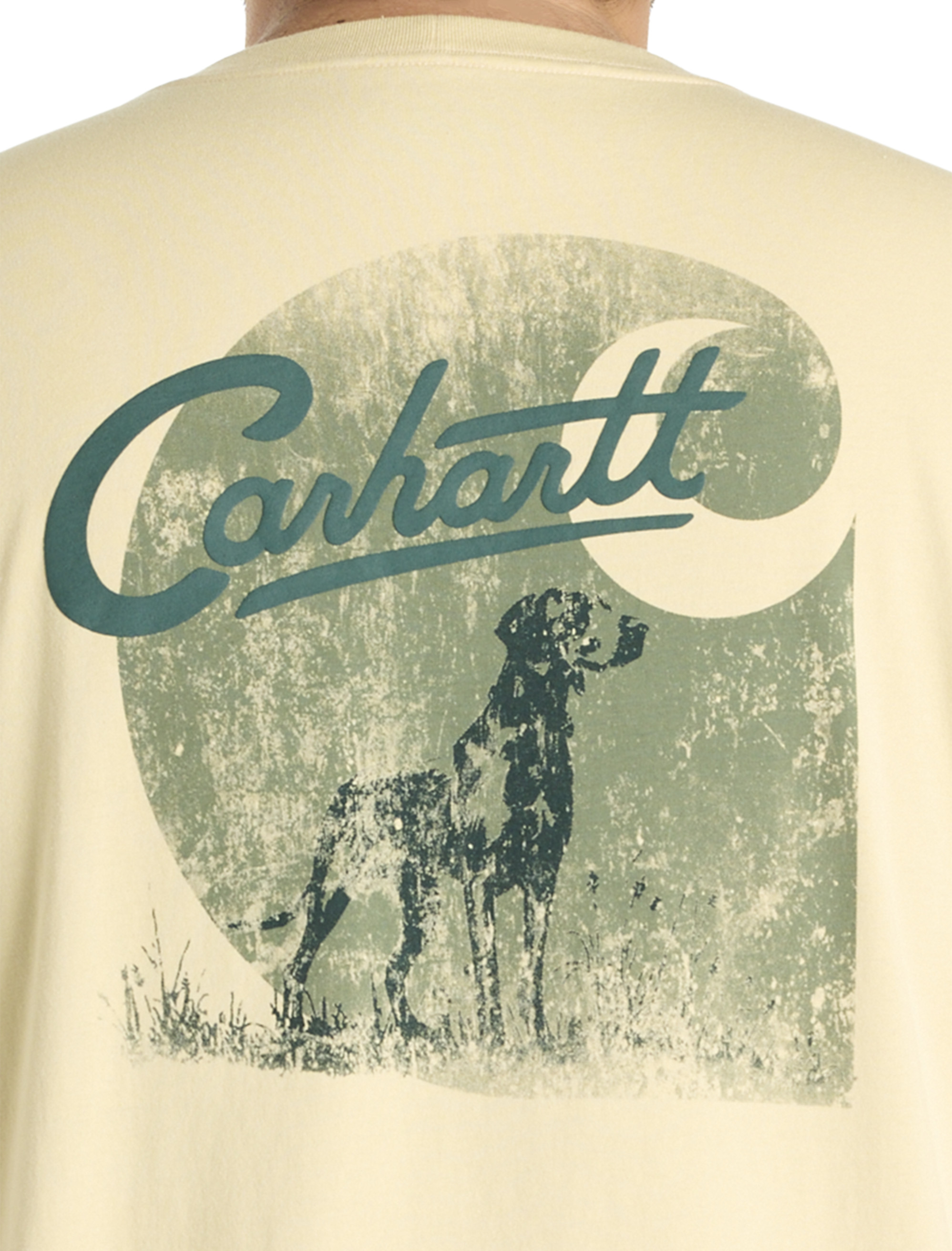 Big + Tall | Carhartt Dog Graphic Tee | DXL