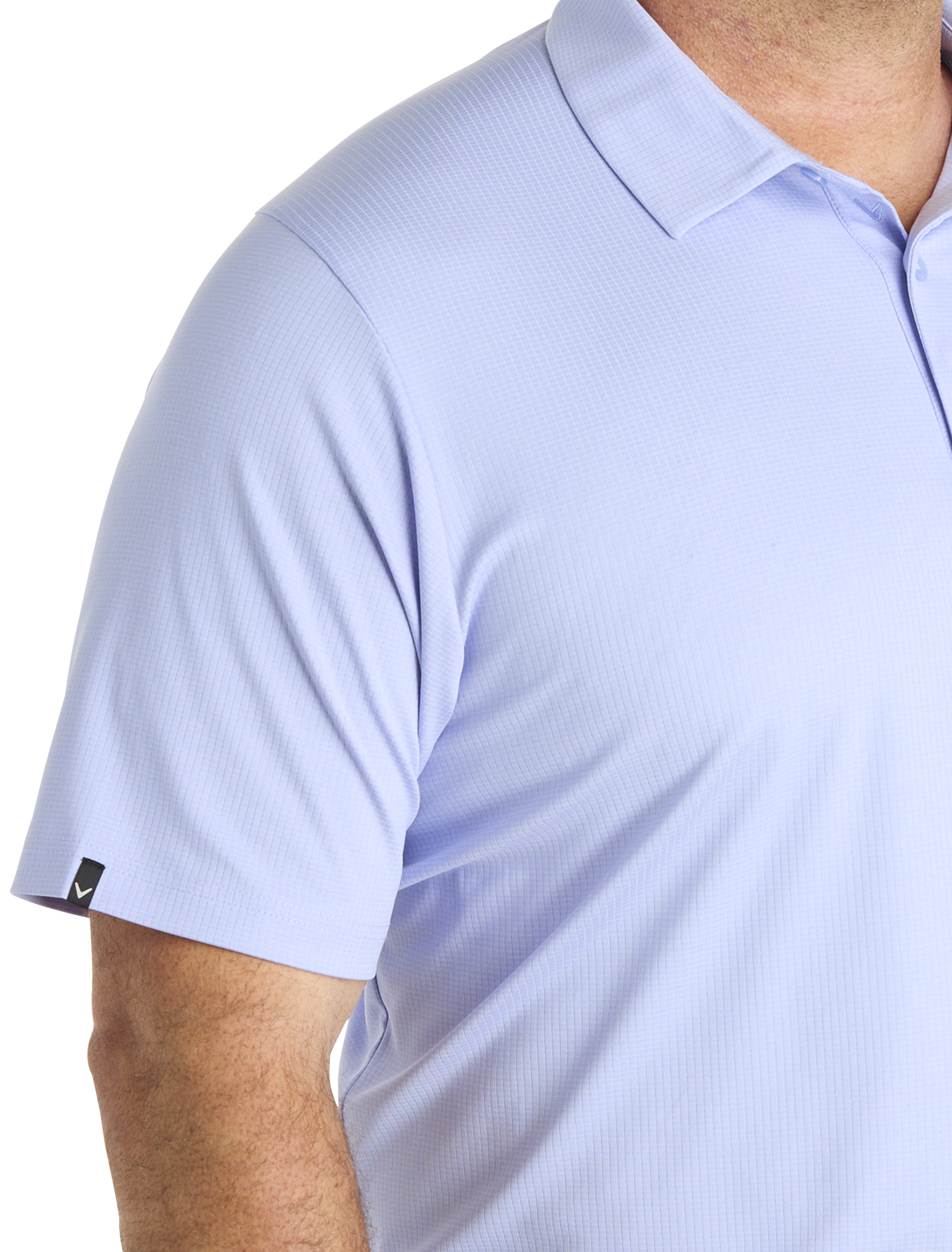 CAL FINE LINE STRIP SPRNG LVND