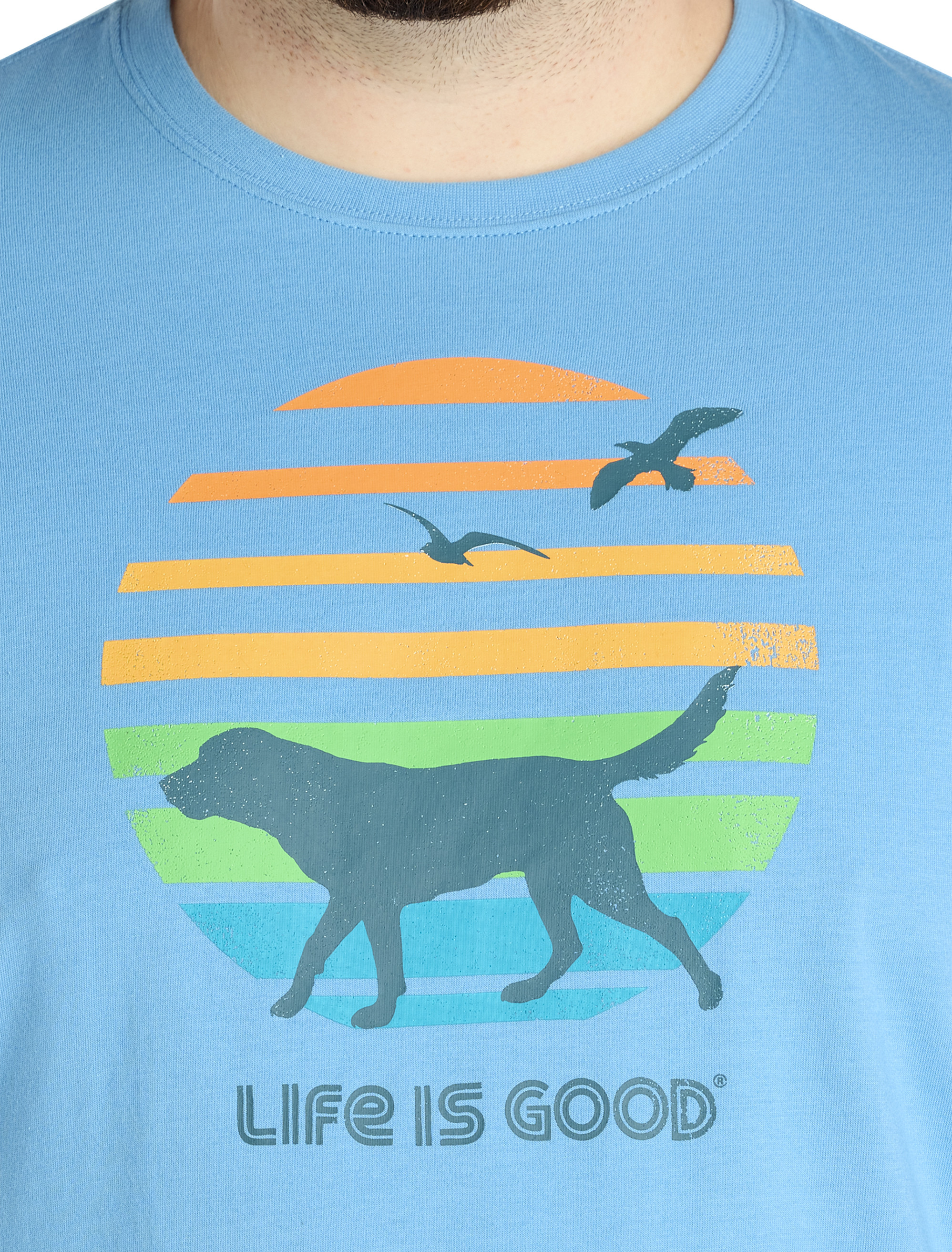 Dog Sunset Graphic Tee