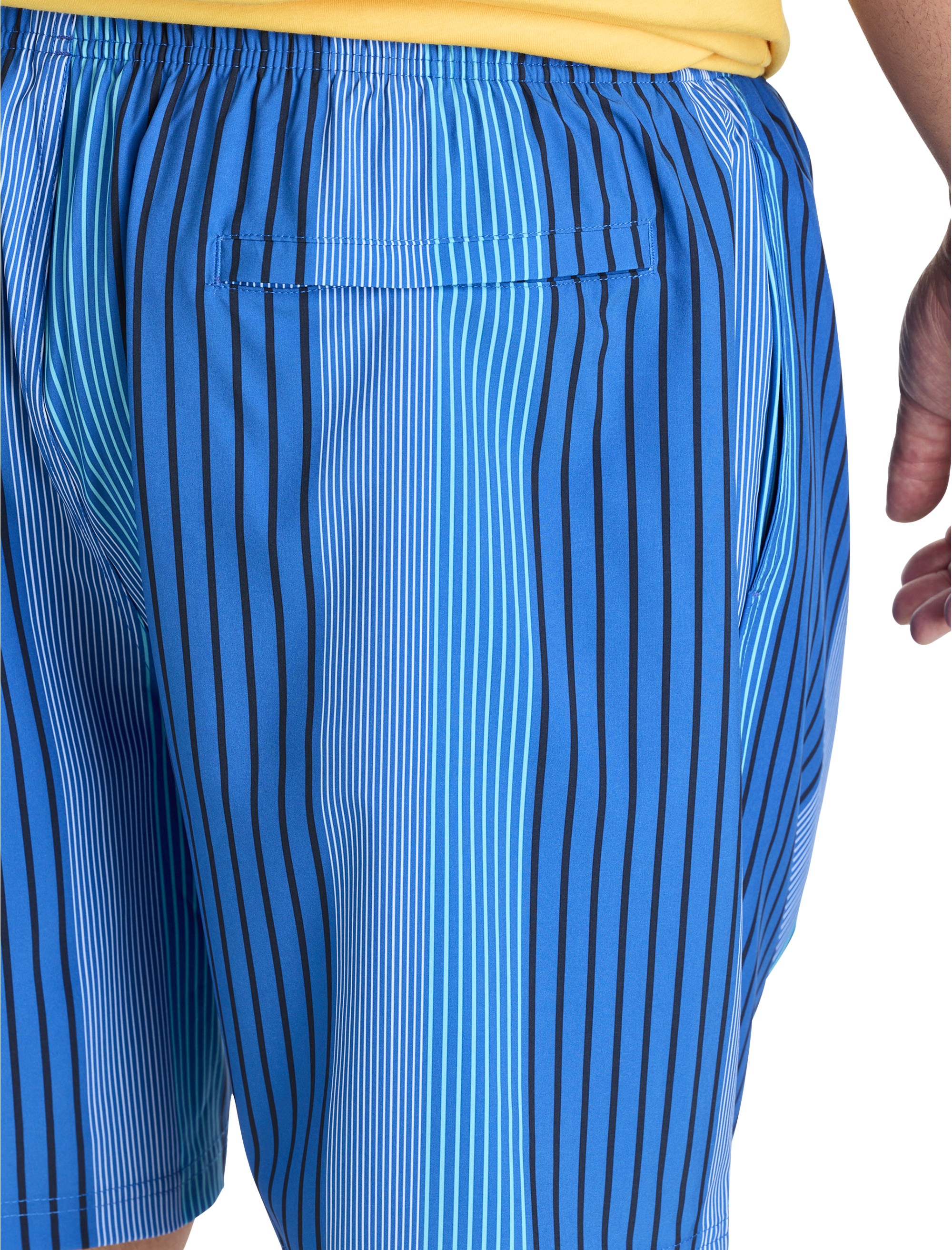 Vertical Stripe Swim Trunks - thumbnail 3