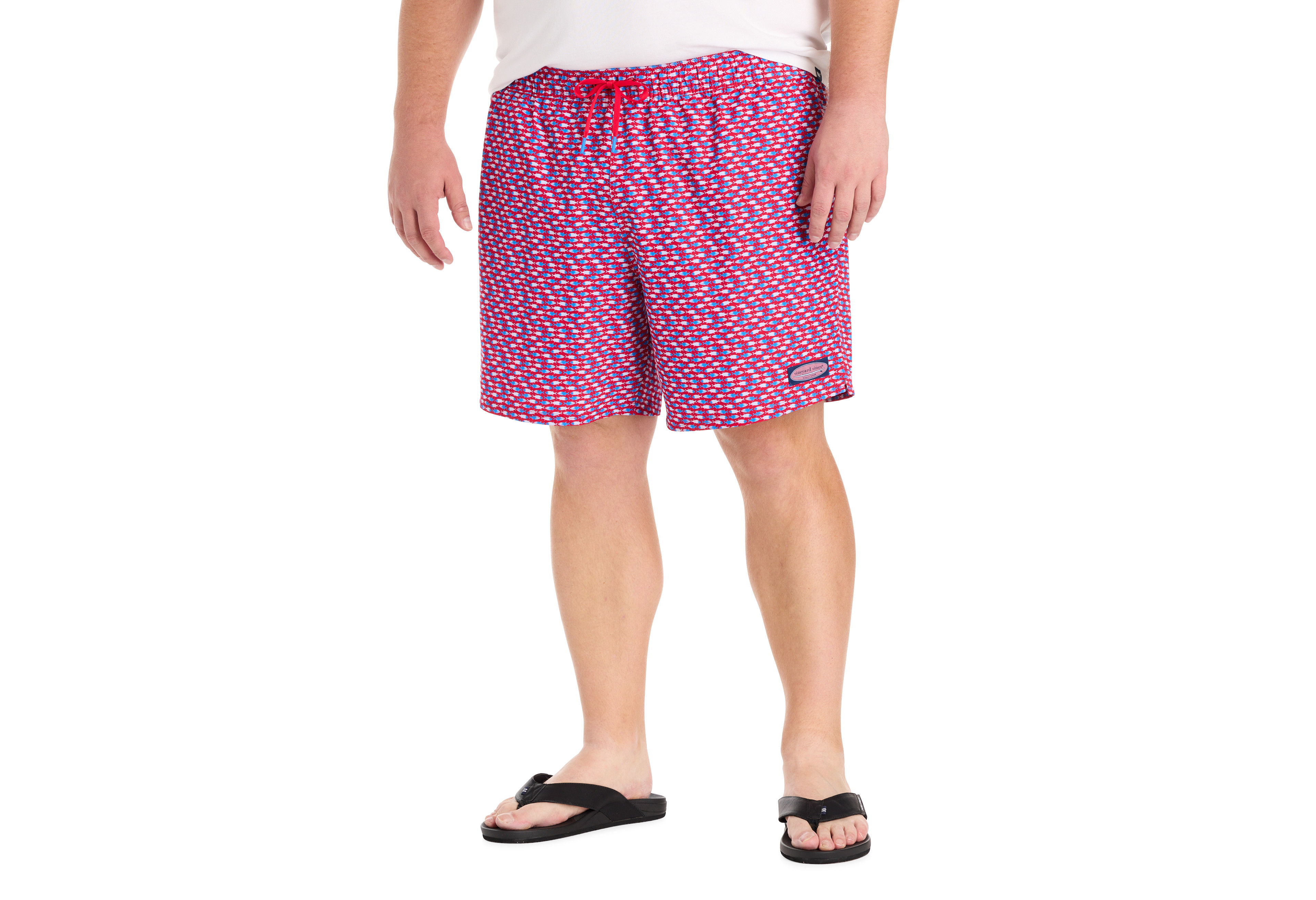 Fish Chappy Swim Trunks