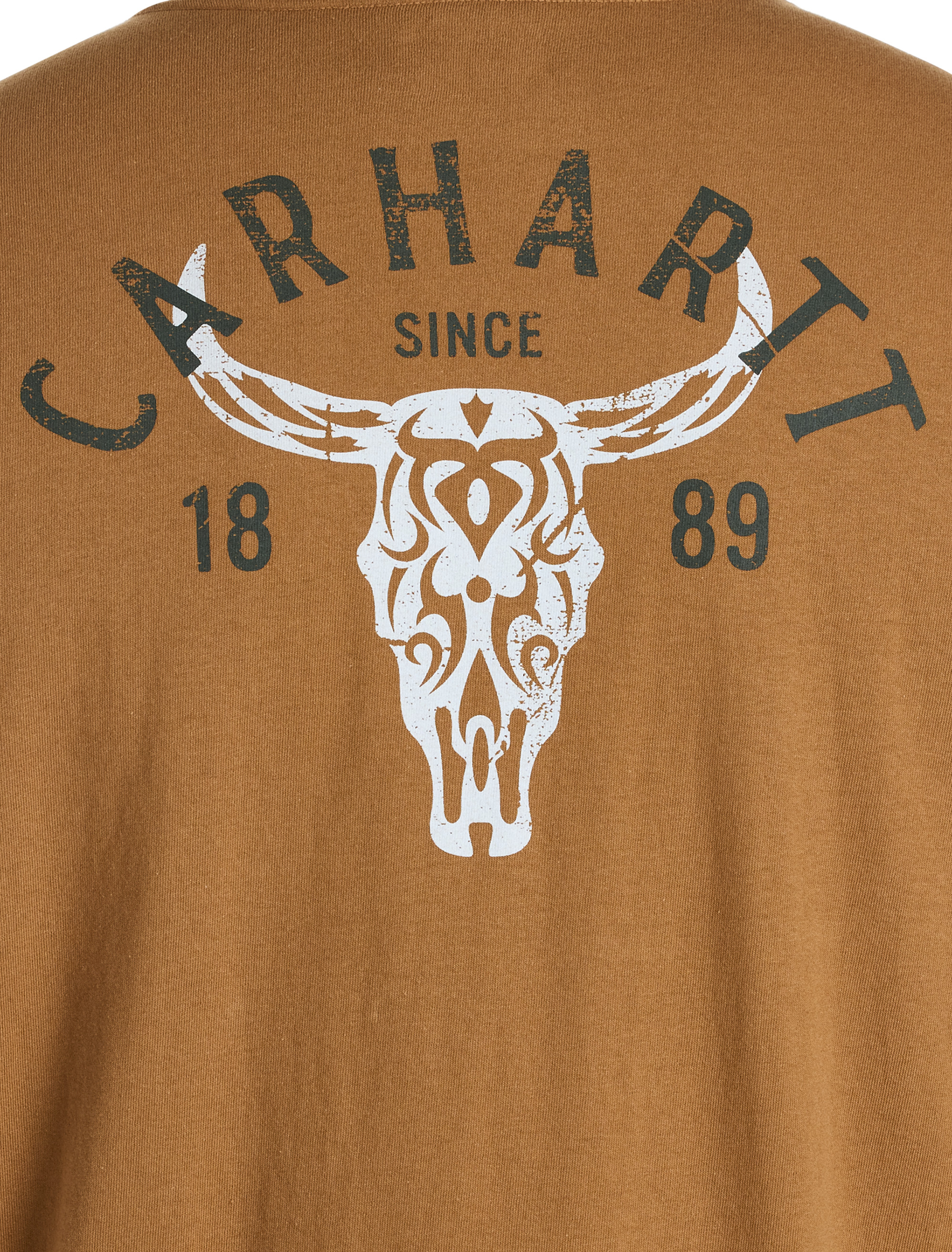 Longhorn Long-Sleeve Graphic Tee