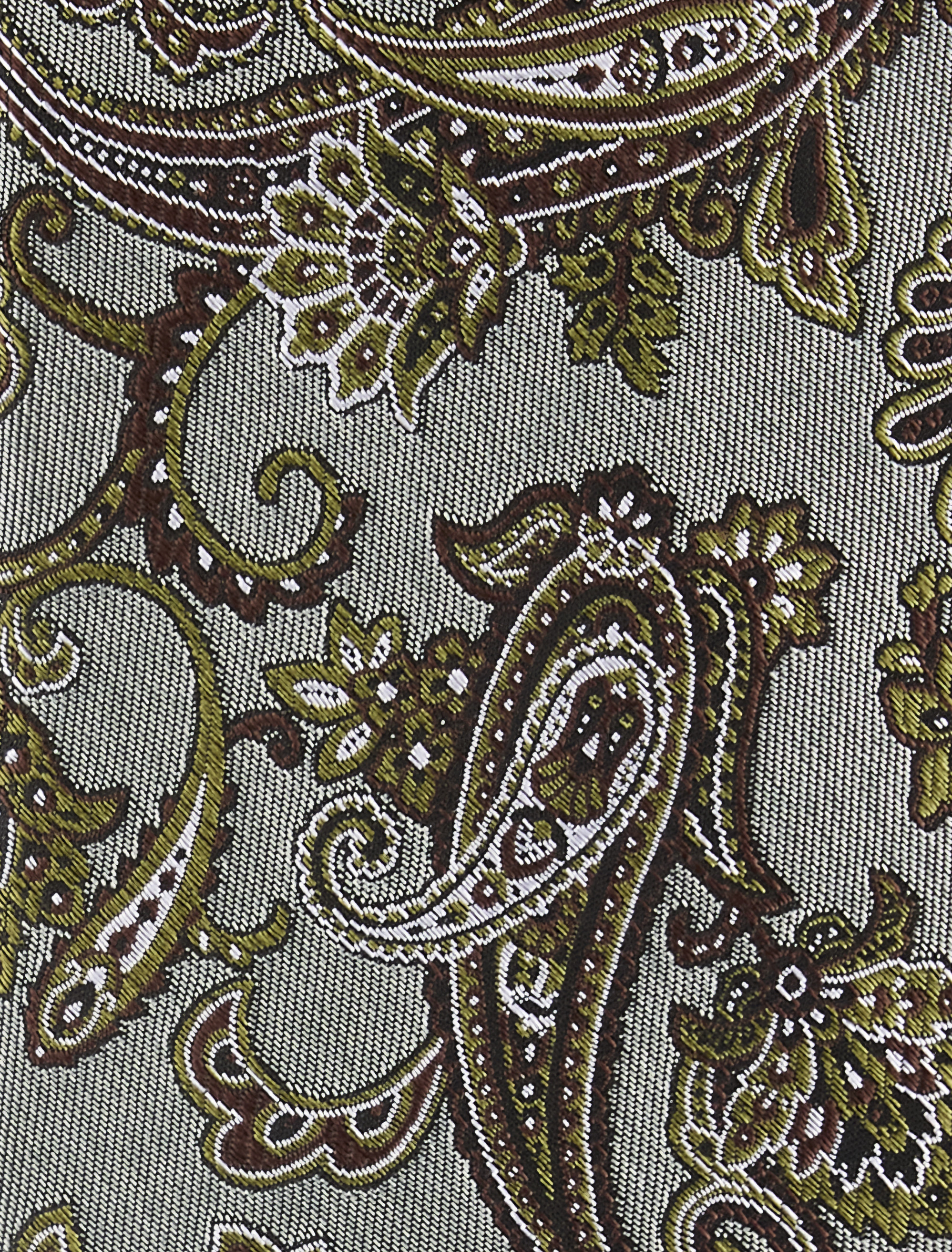 Dallard Paisley Tie