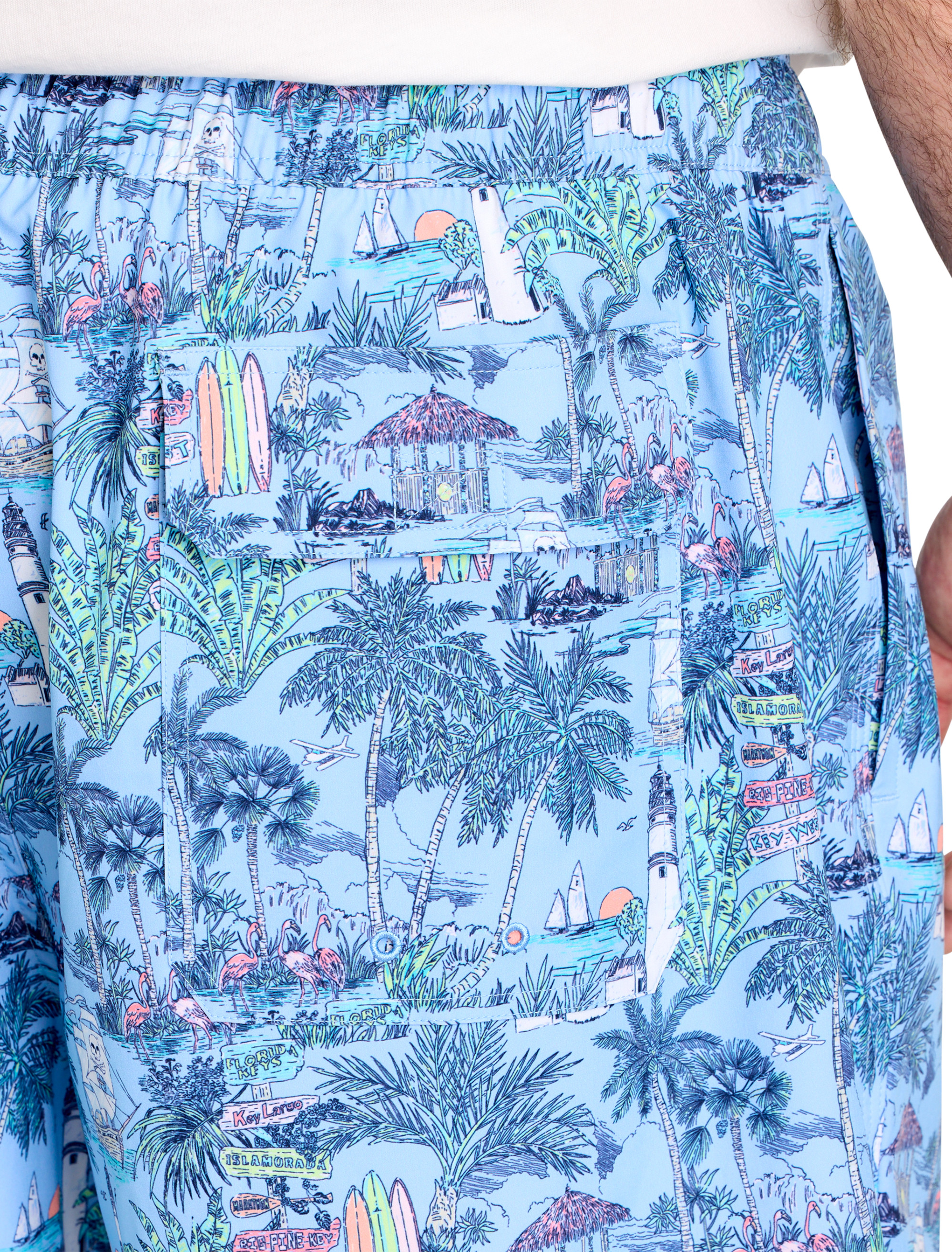 Scenic Chappy Swim Trunks