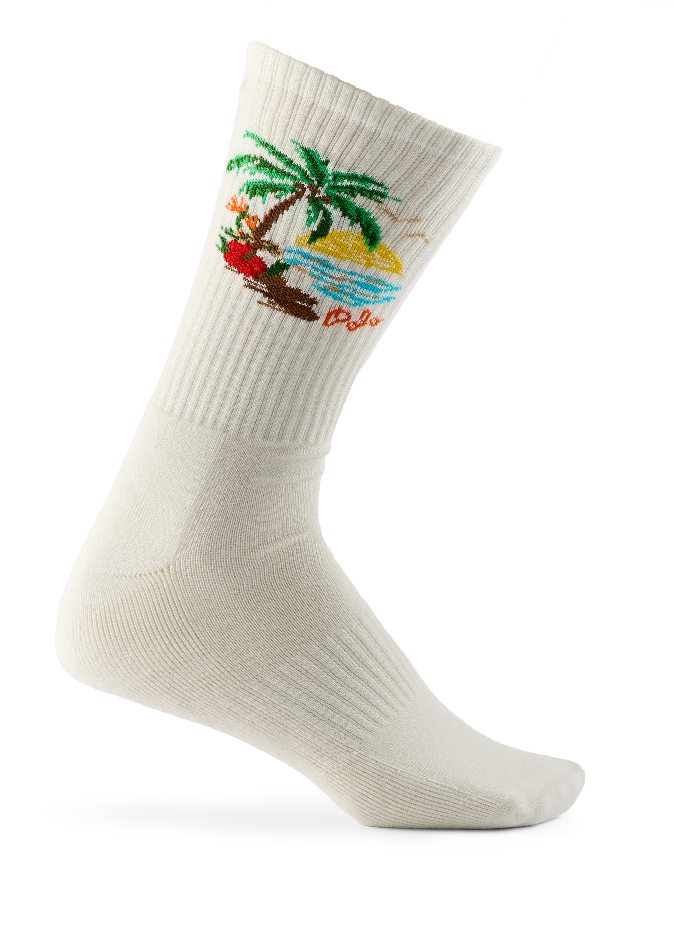 Harbour Isle Bear 6-pk Crew Socks