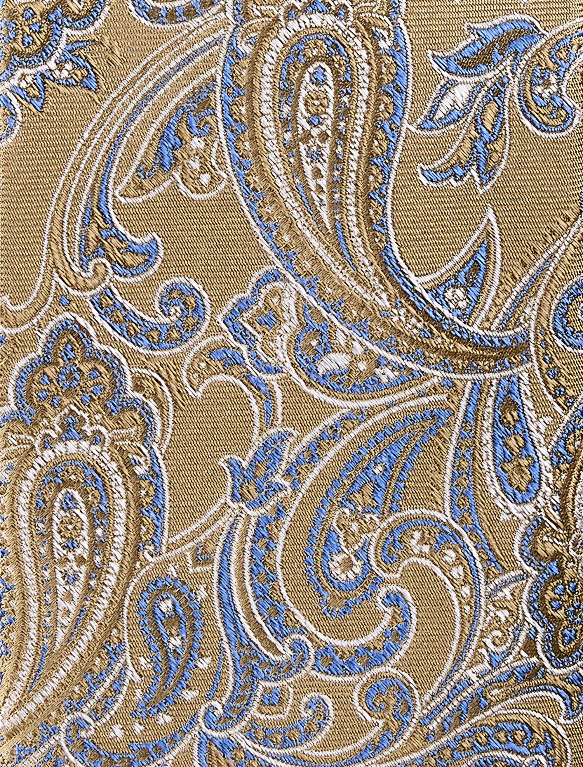 Classy Paisley Tie