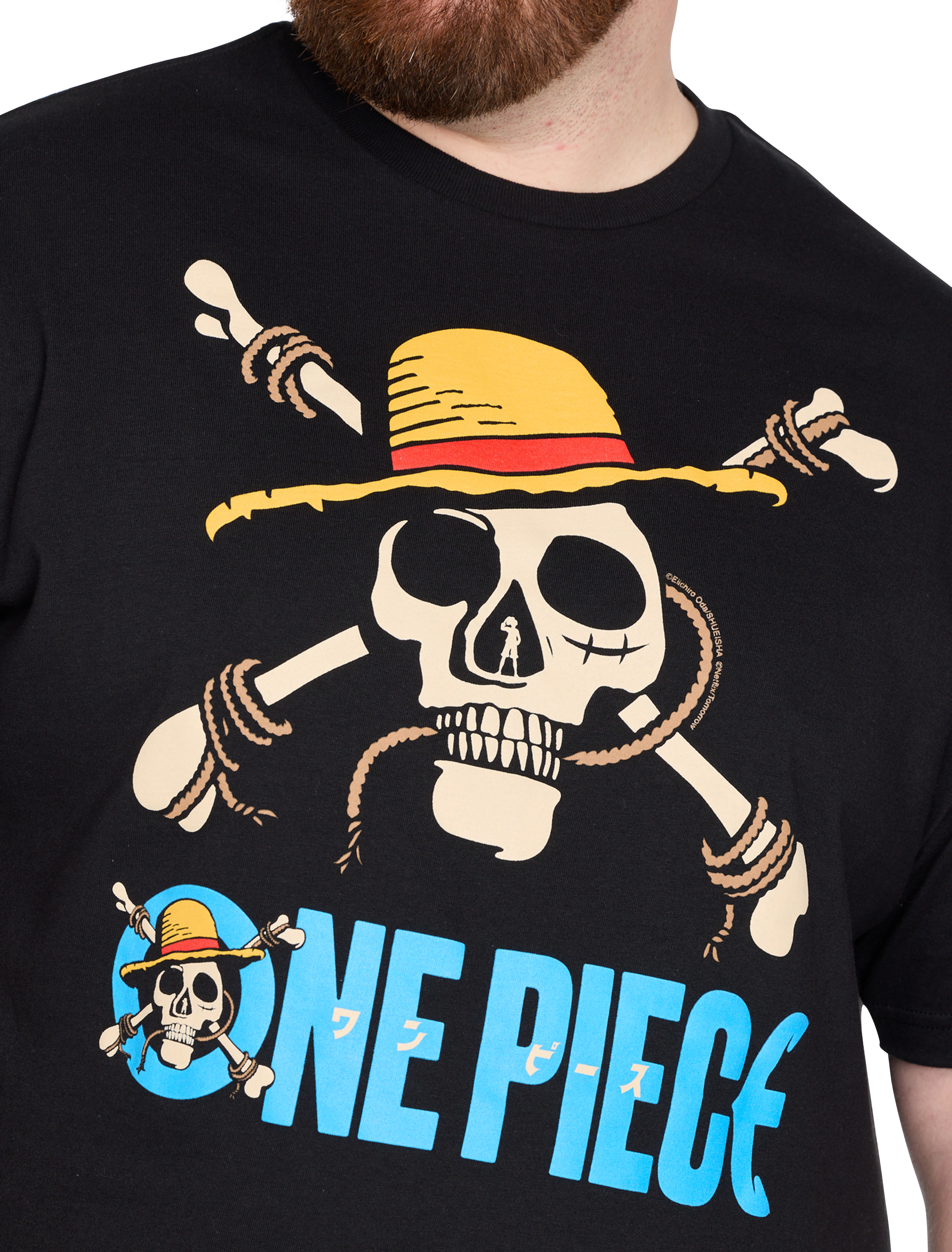 One Piece Straw Hat Crew Graphic Tee