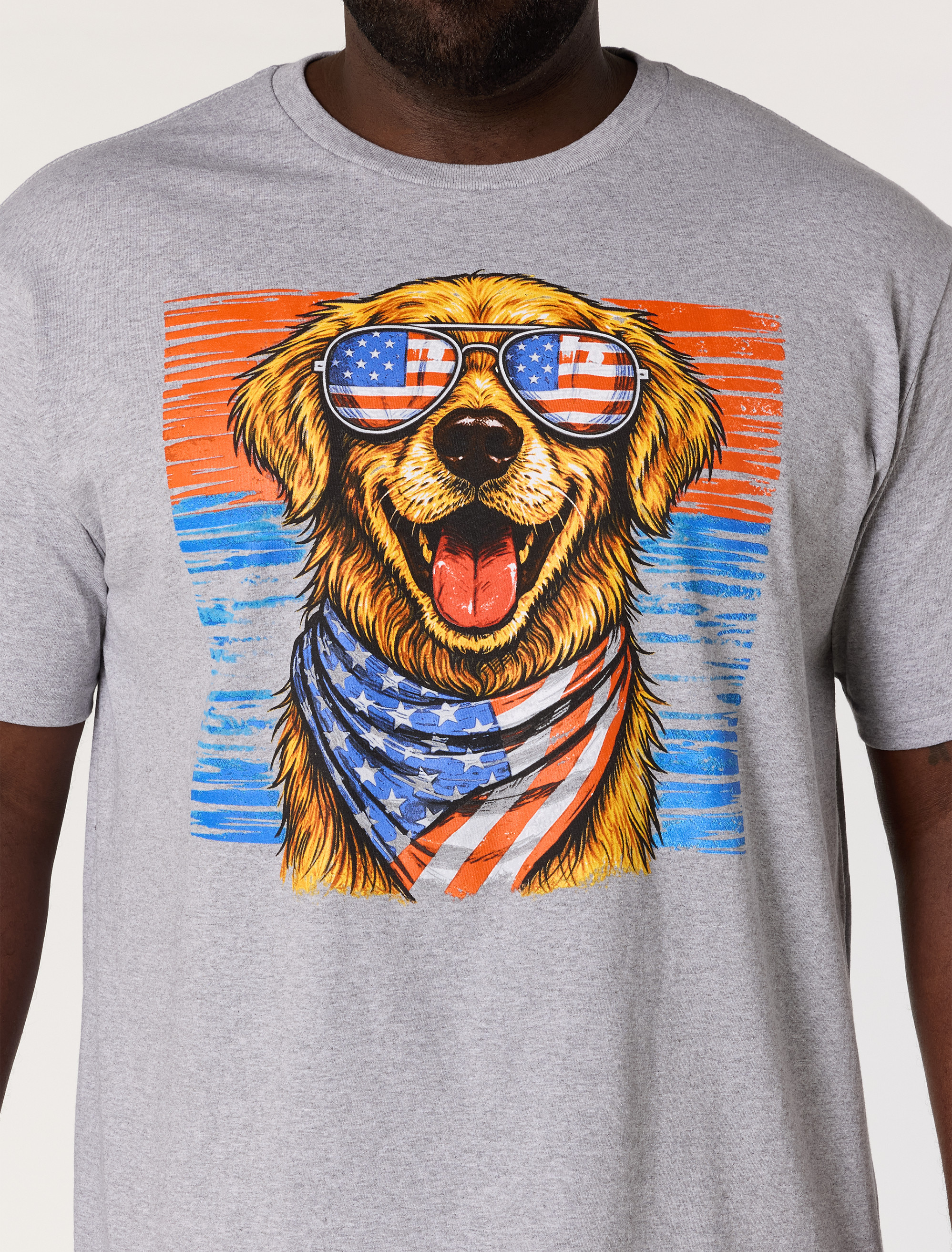 Independence Day Dog Graphic T-Shirt