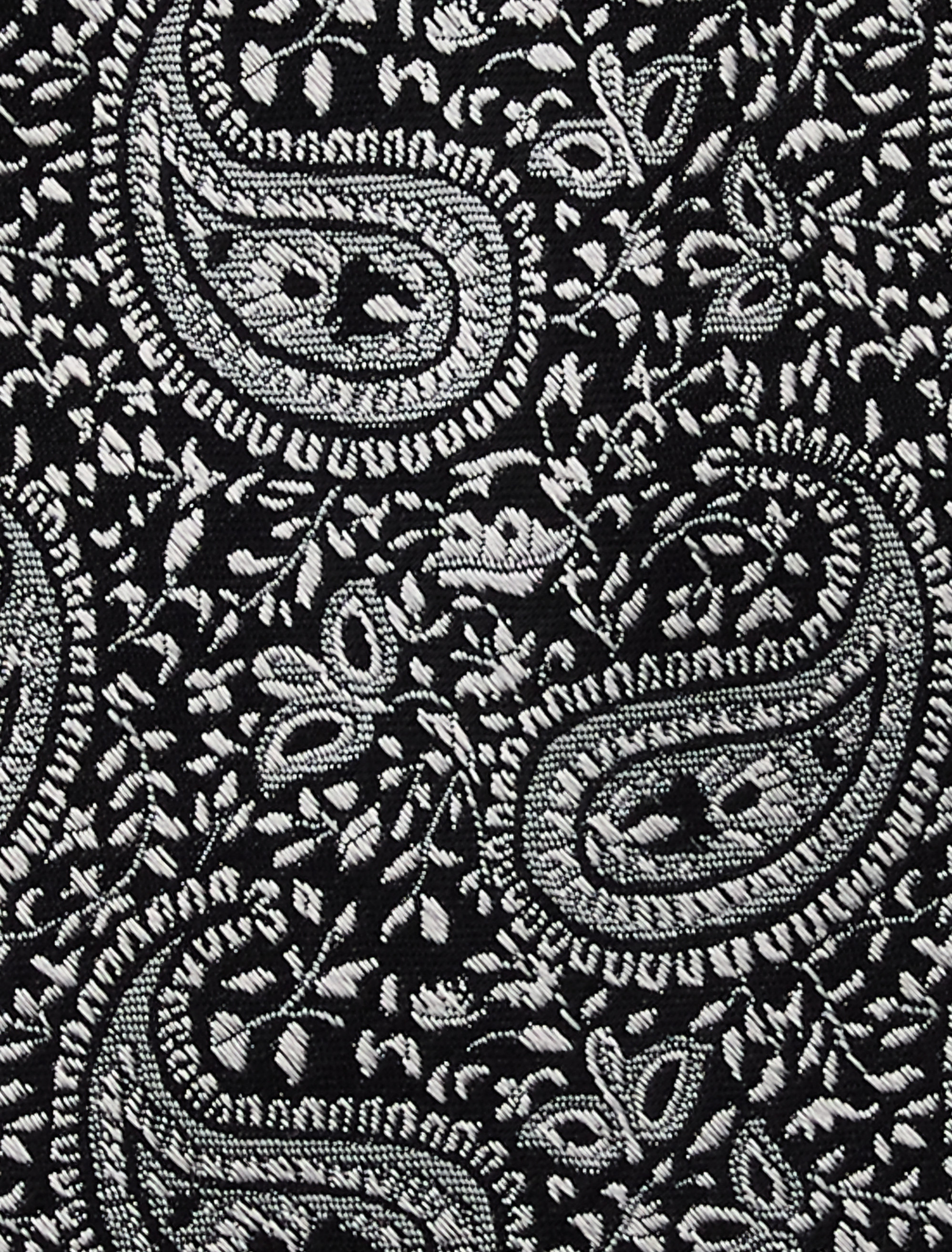 Luma Paisley Tie