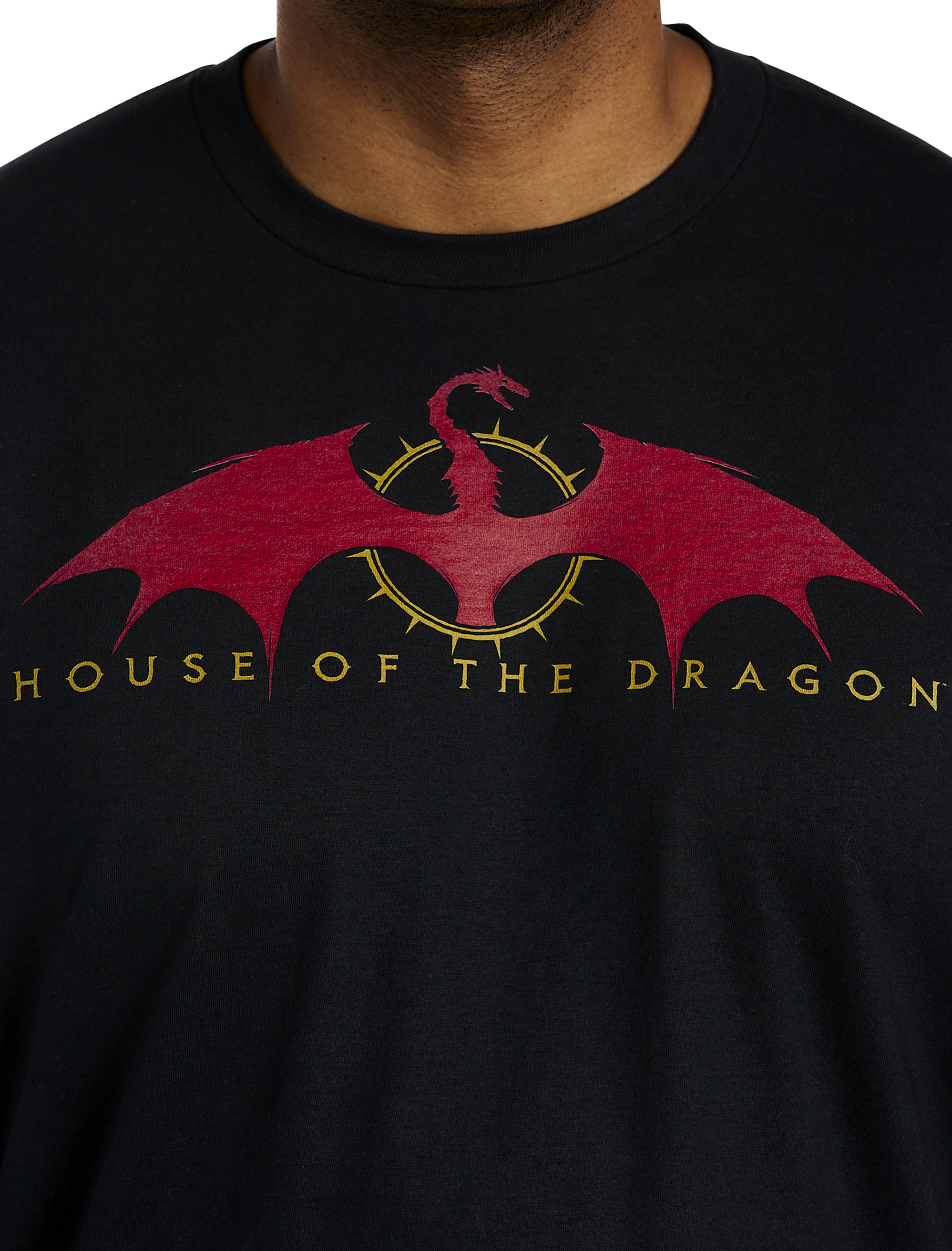 House of the Dragon Graphic Tee