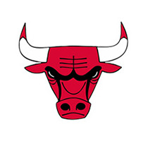 chicago bulls