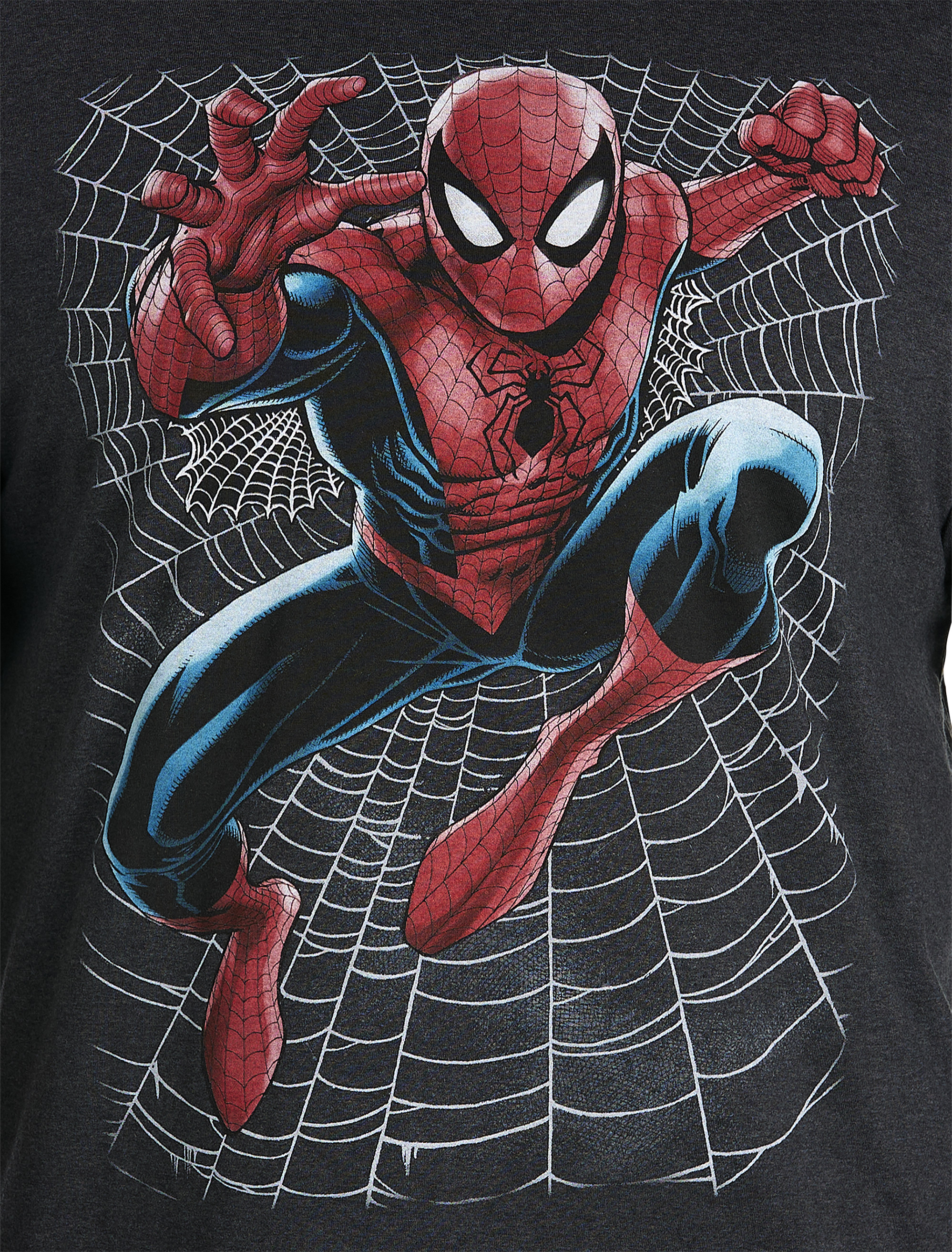 Big + Tall | True Nation Spider-Man Web Leap Graphic Tee | DXL