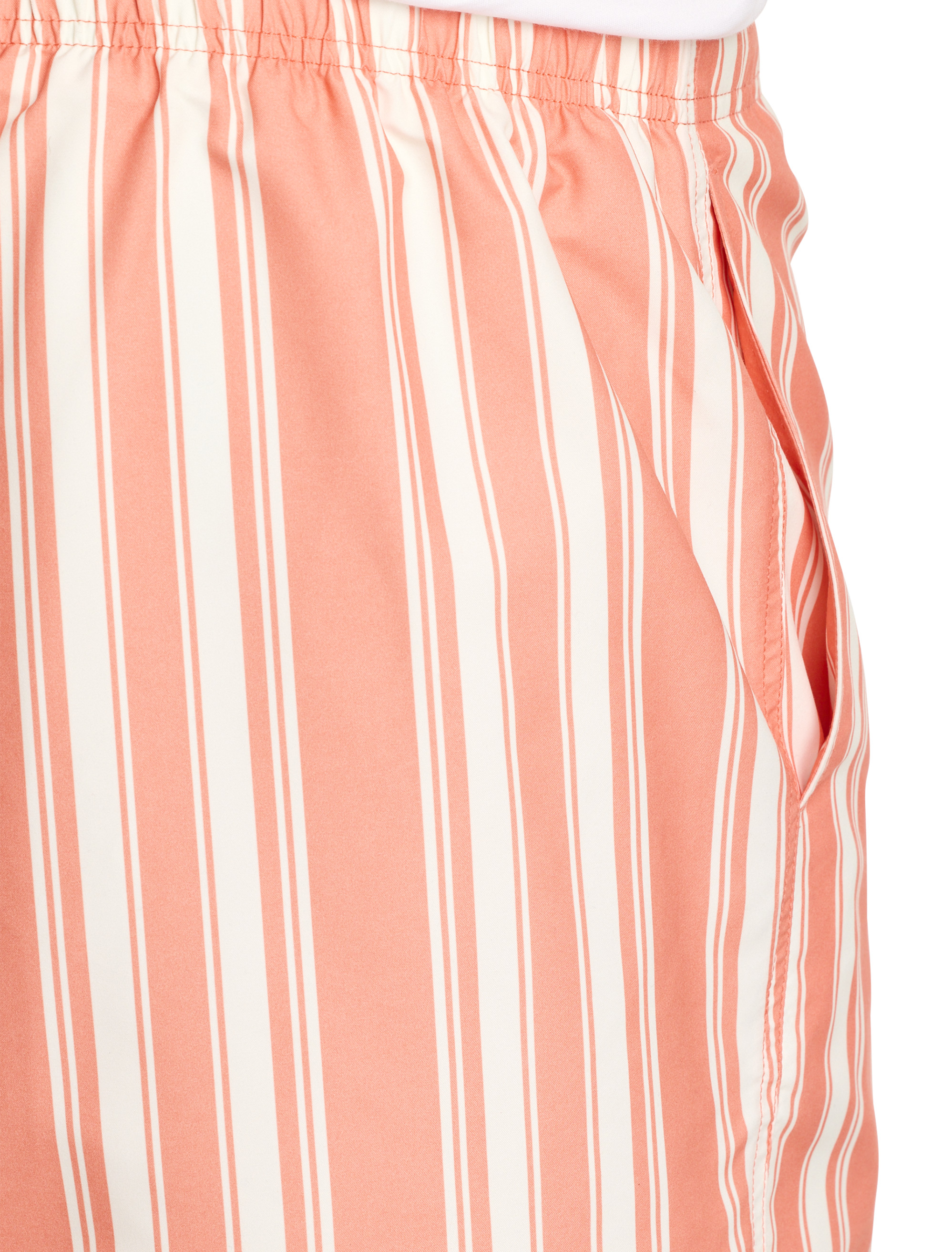 Cabana Stripe Swim Trunks