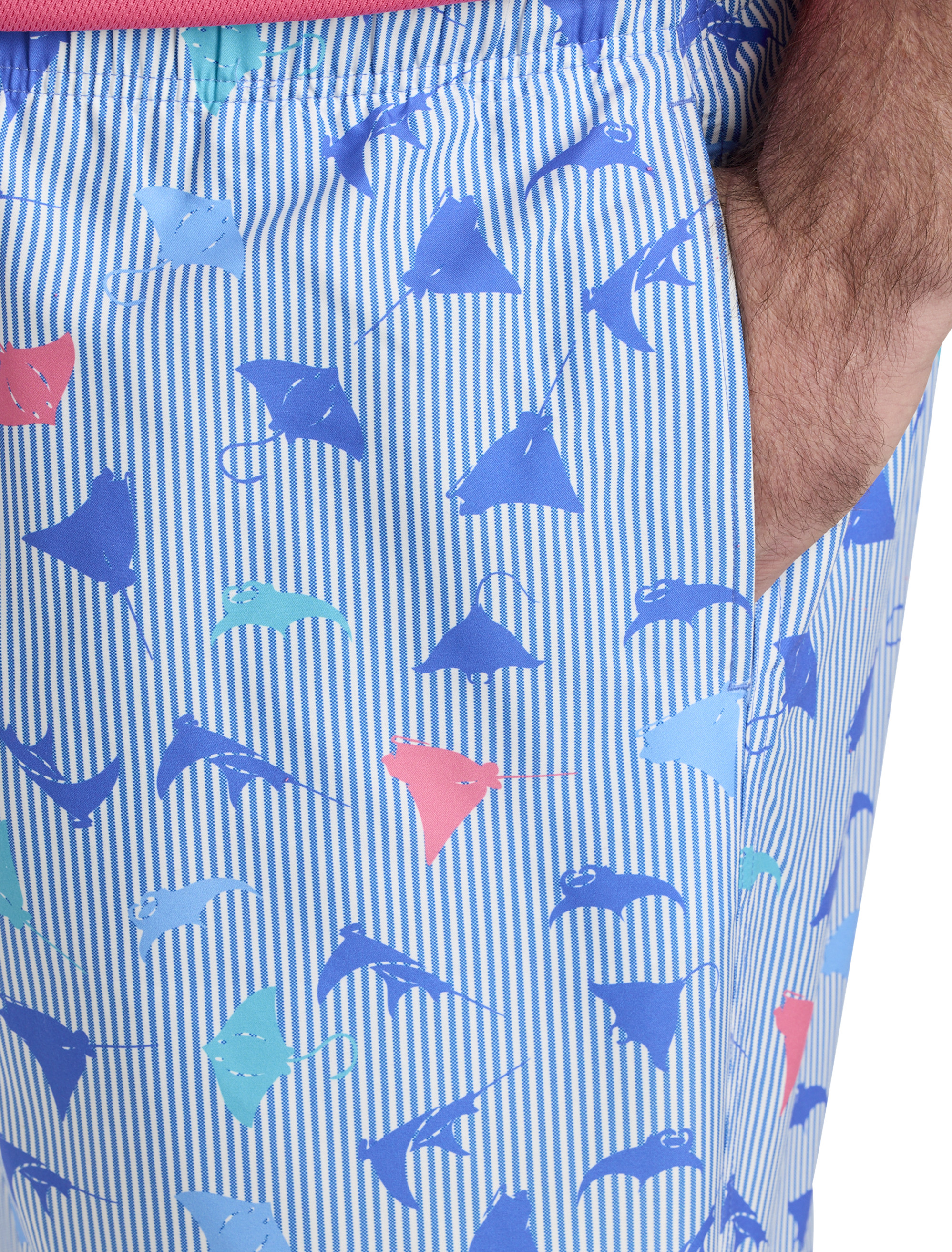Stingray Stripe Swim Trunks