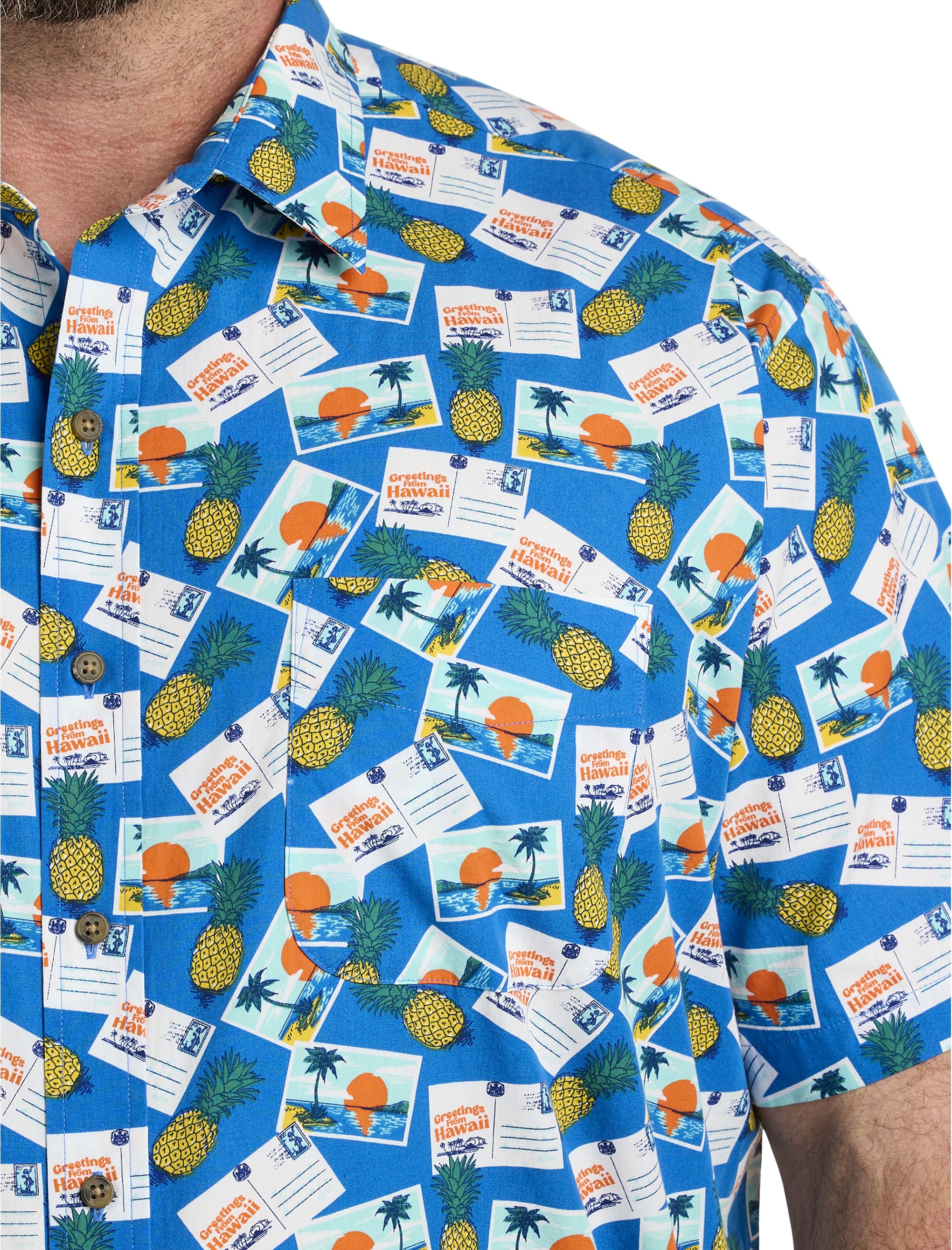 Island Postcard Sport Shirt - thumbnail 2