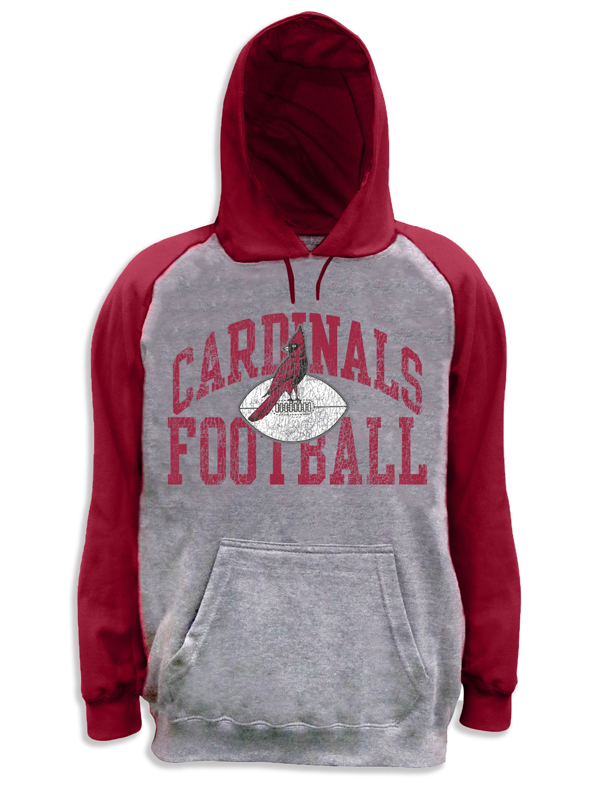 Colorblocked Team Hoodie - thumbnail 4