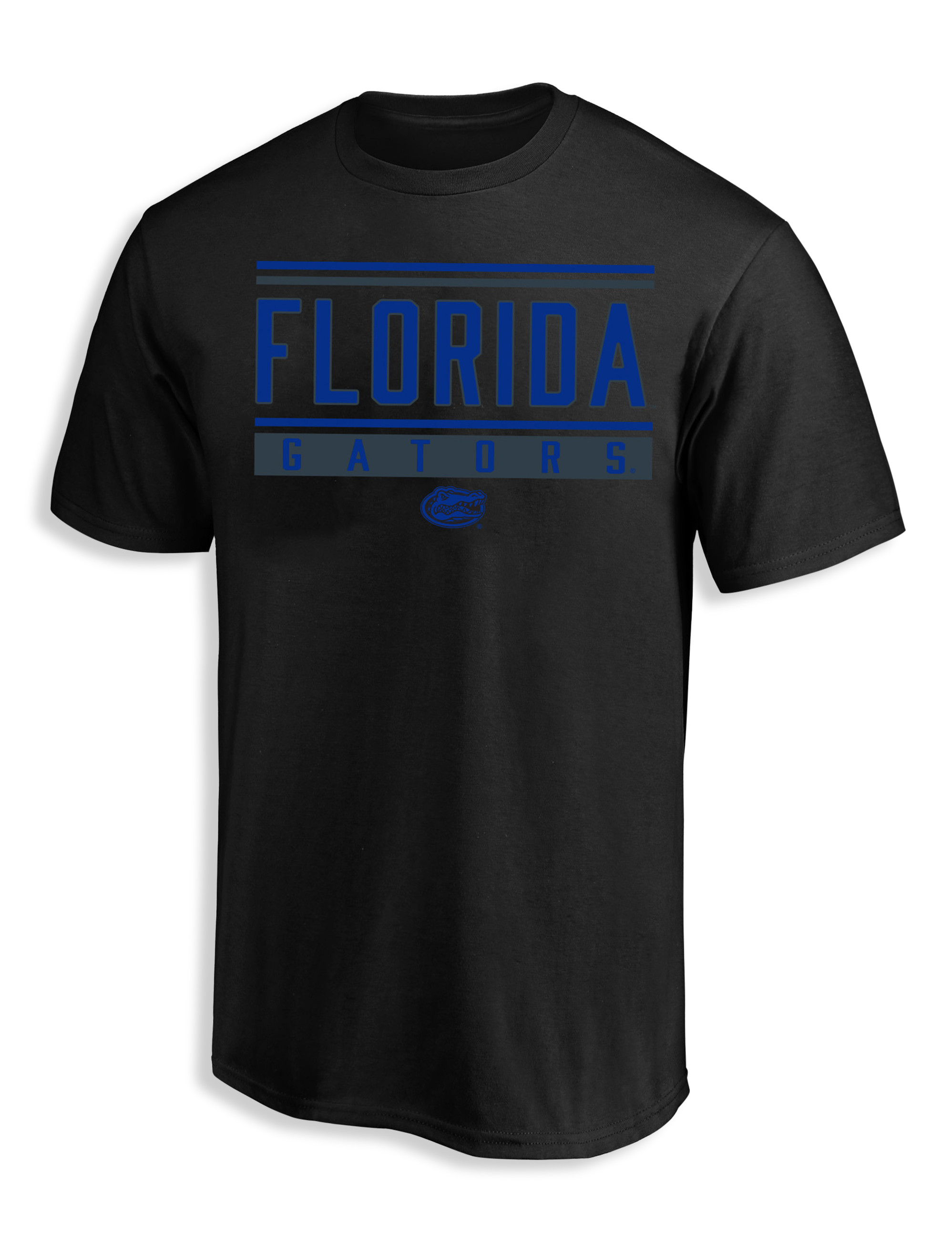 pP3868florida