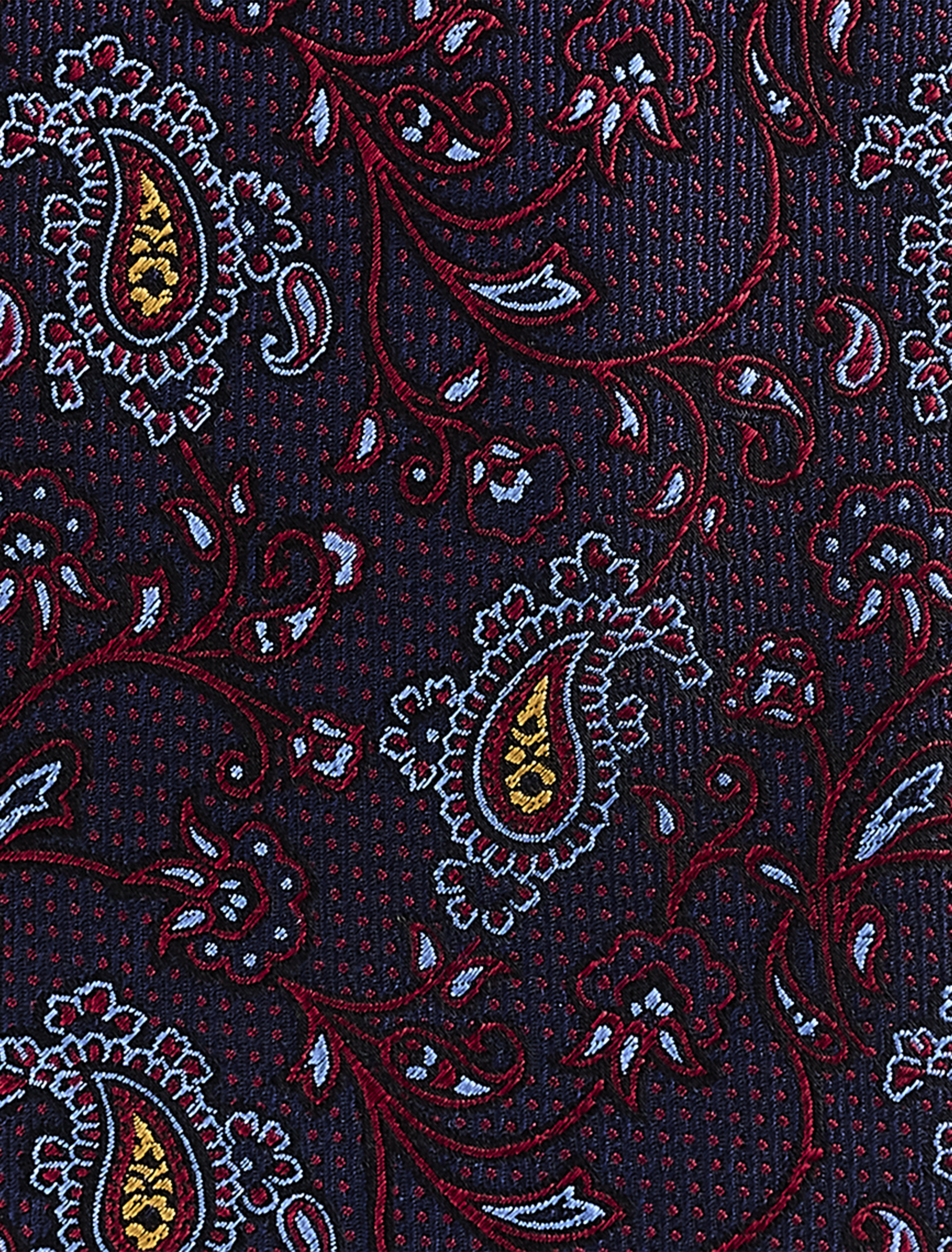 Paisley Vines Tie