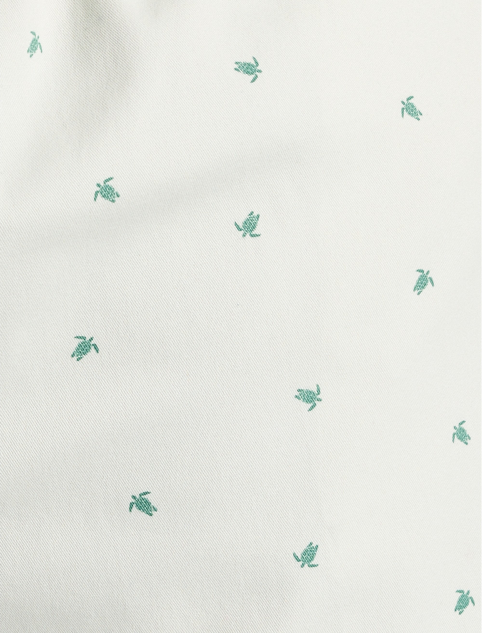 Elastic-Waist Cotton Shorts - thumbnail 10
