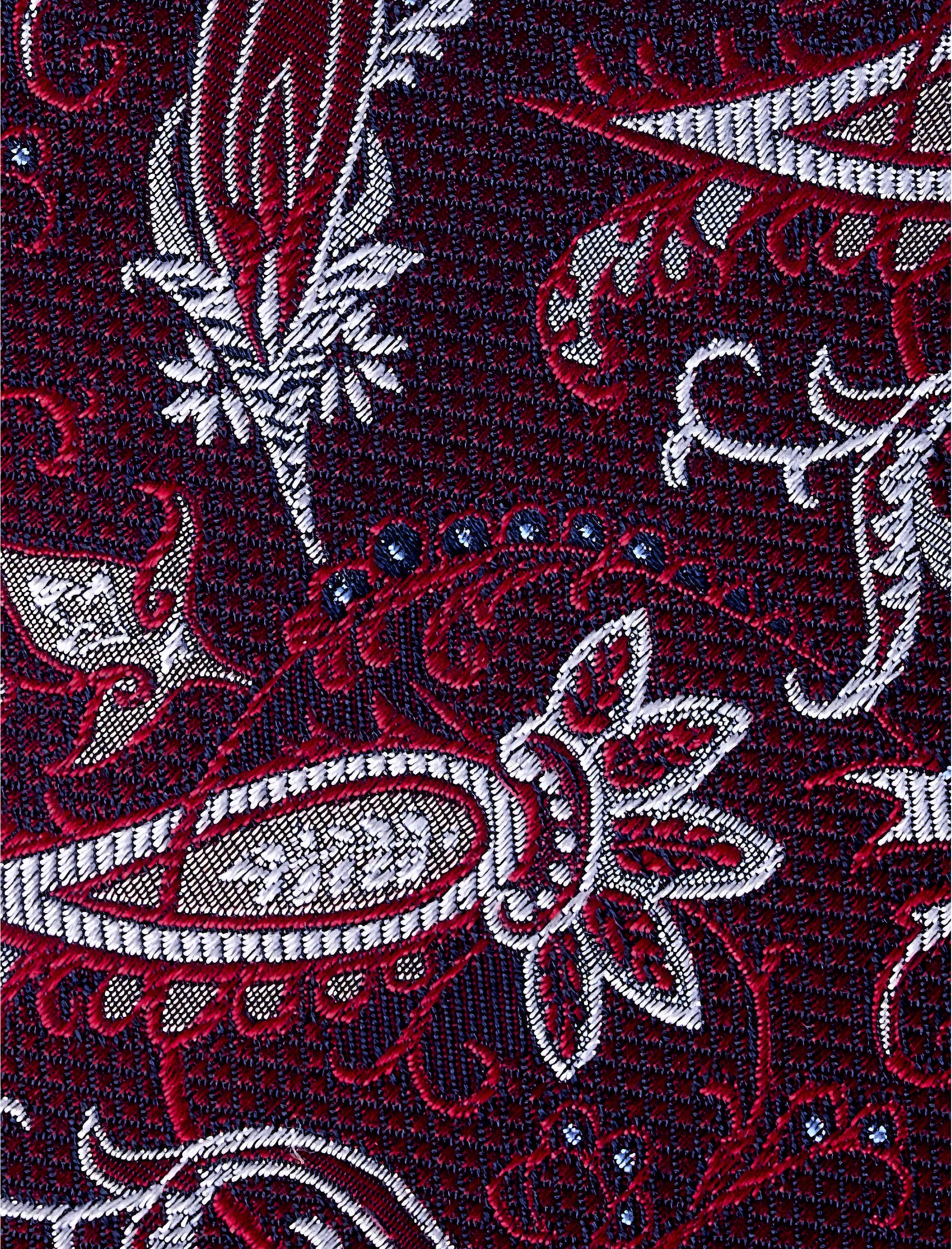 Paisley Tie - thumbnail 4
