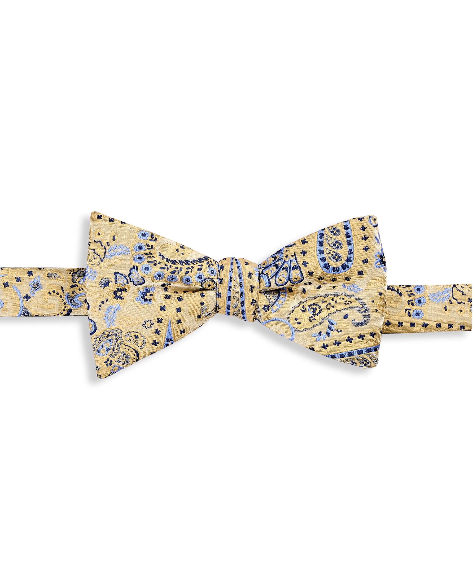 Springtime Paisley Bow Tie