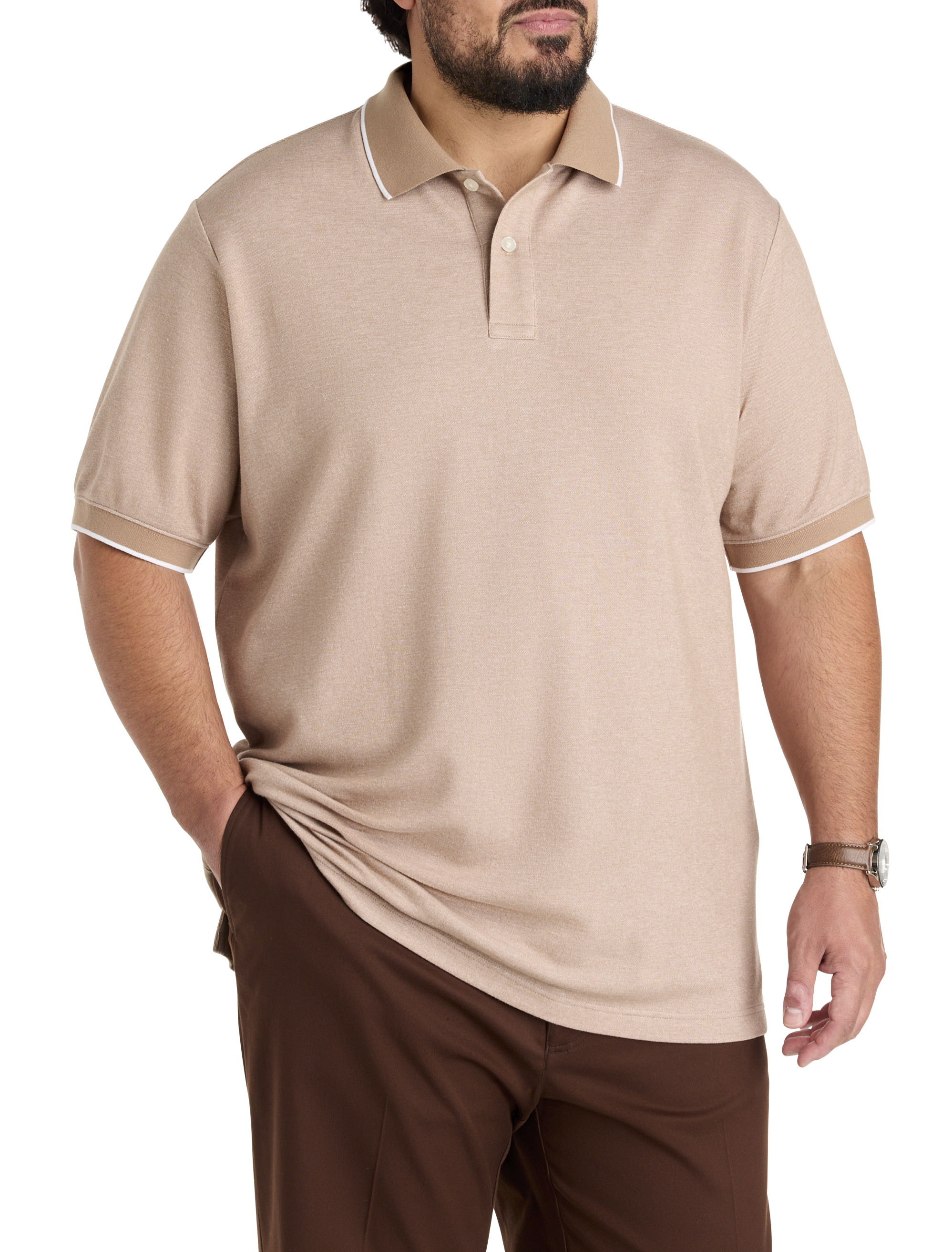 pP4705brown