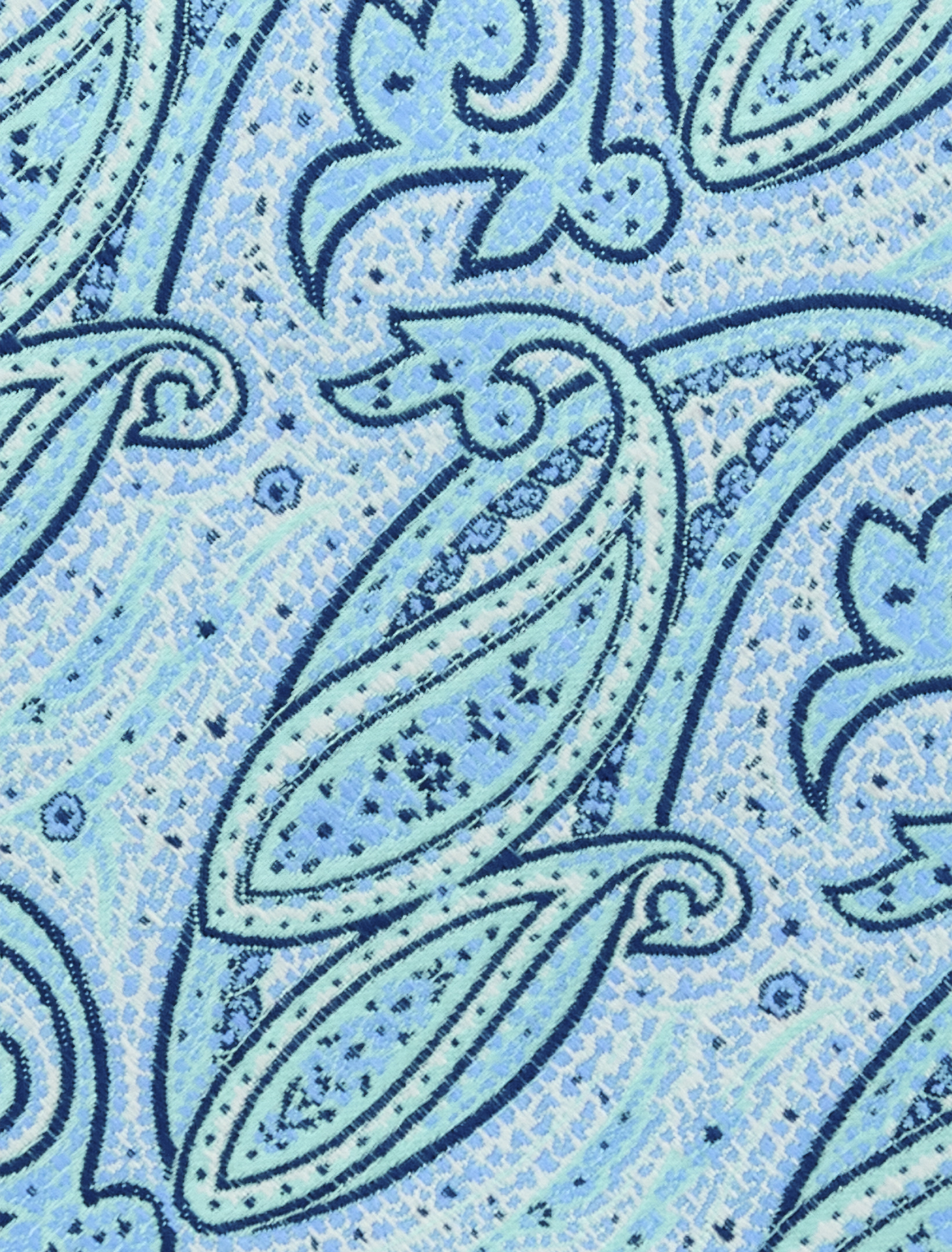Big + Tall | Synrgy Dotted Paisley Tie | DXL