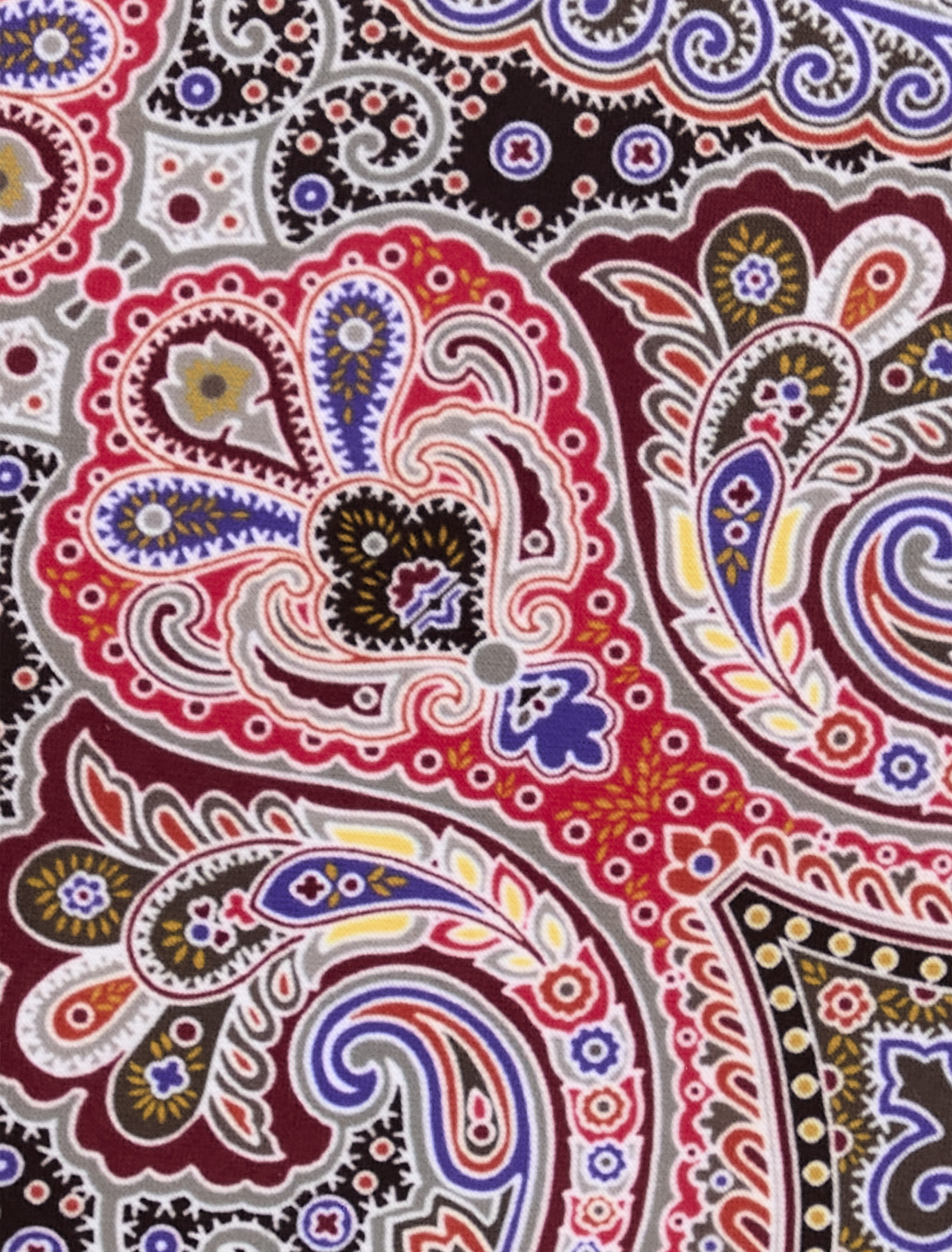 Big + Tall | Synrgy Large Paisley Tie | DXL