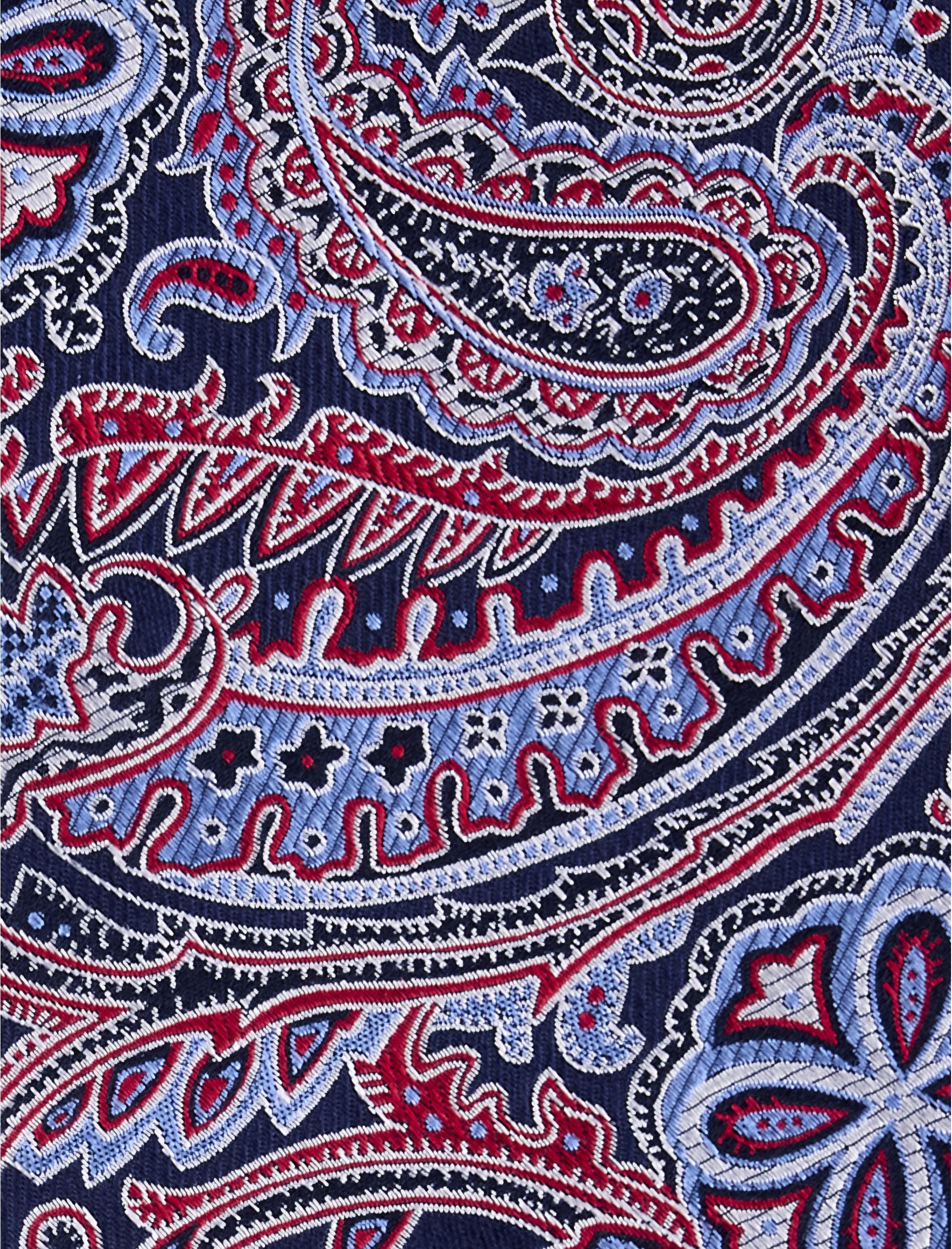 Paisley Tie - thumbnail 2